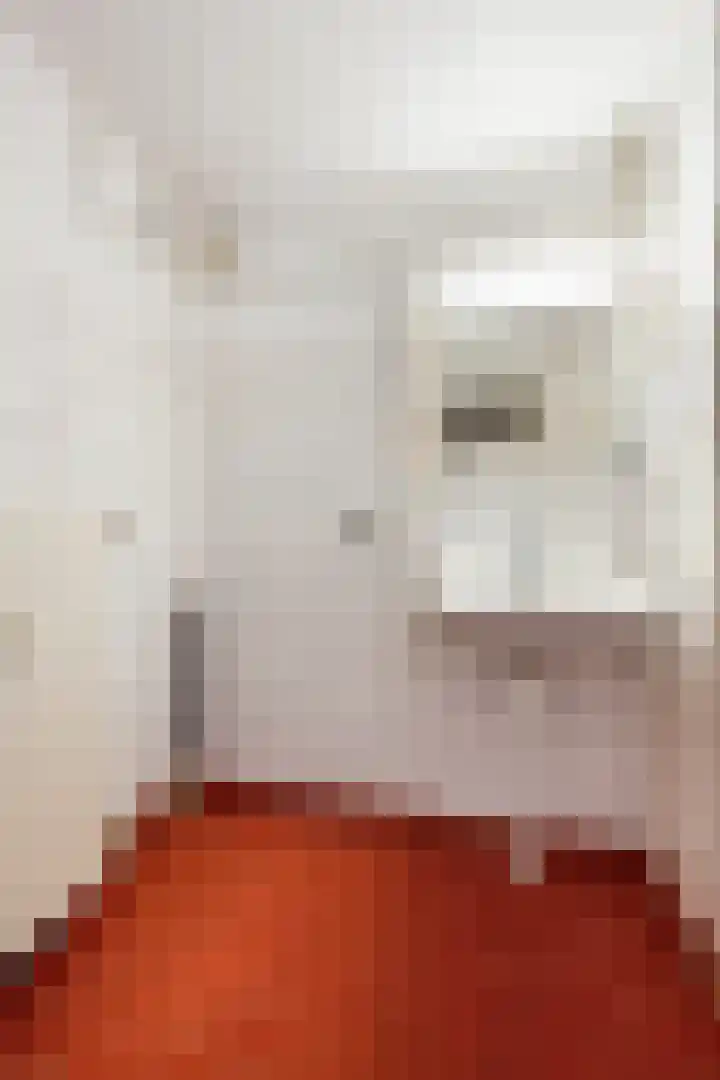 Nachtwachtlaan 387 Amsterdam thumbnail 19