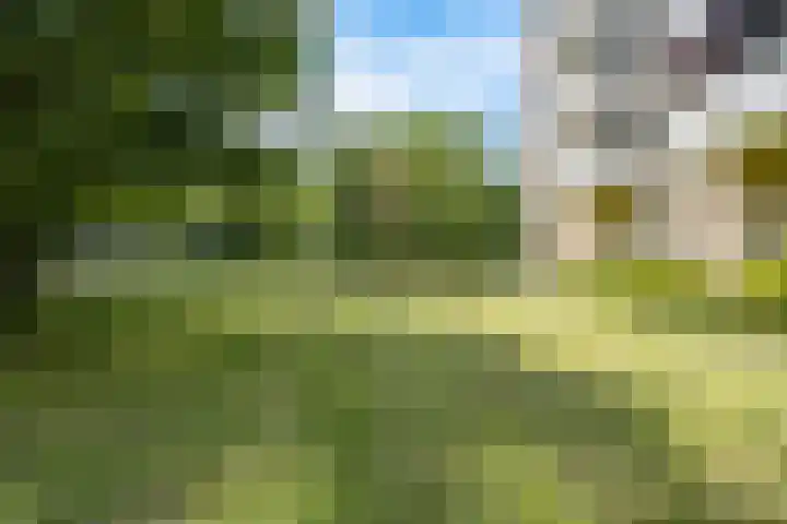 Nachtwachtlaan 387 Amsterdam thumbnail 22