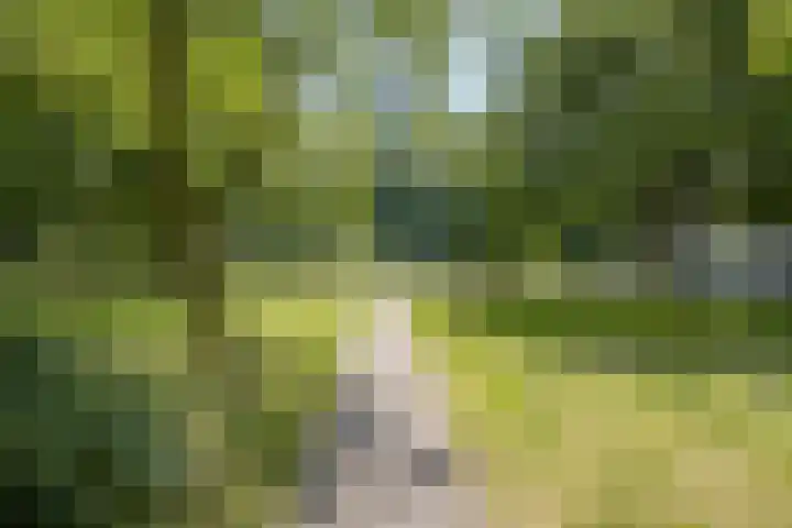 Nachtwachtlaan 387 Amsterdam thumbnail 23