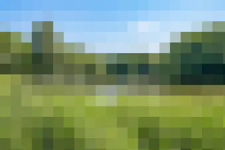 Nachtwachtlaan 387 Amsterdam thumbnail 25
