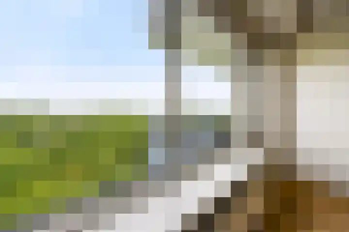 Nachtwachtlaan 387 Amsterdam thumbnail 4