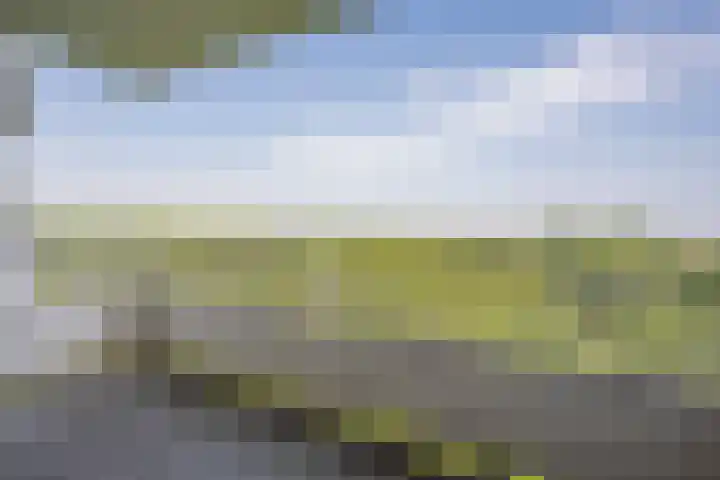 Nachtwachtlaan 387 Amsterdam thumbnail 5