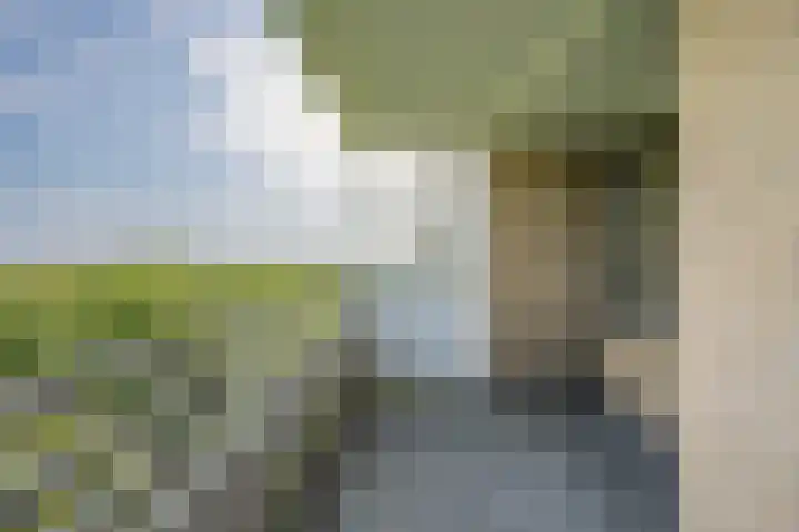 Nachtwachtlaan 387 Amsterdam thumbnail 8