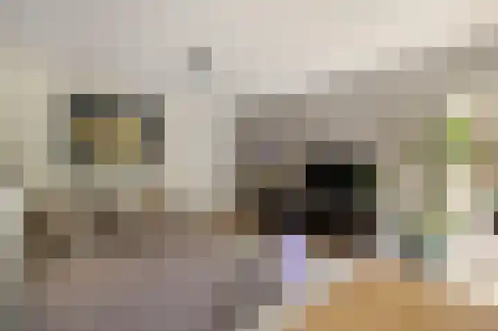 Nachtwachtlaan 40 Amsterdam thumbnail 14