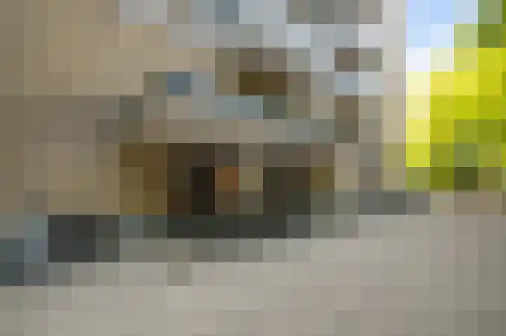 Nachtwachtlaan 40 Amsterdam thumbnail 33