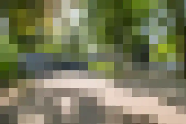 Nachtwachtlaan 40 Amsterdam thumbnail 35