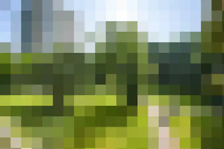 Nachtwachtlaan 40 Amsterdam thumbnail 36