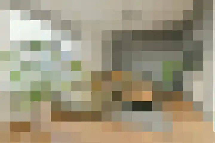 Nachtwachtlaan 401 Amsterdam thumbnail 12