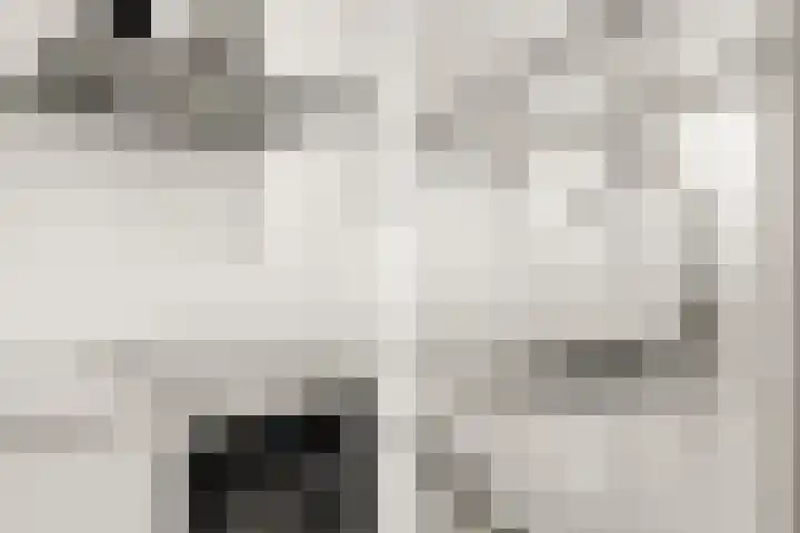 Nachtwachtlaan 41 Amsterdam thumbnail 10