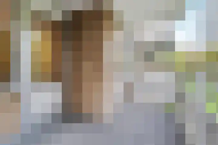 Nachtwachtlaan 41 Amsterdam thumbnail 15