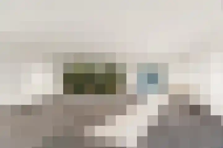 Nachtwachtlaan 41 Amsterdam thumbnail 23