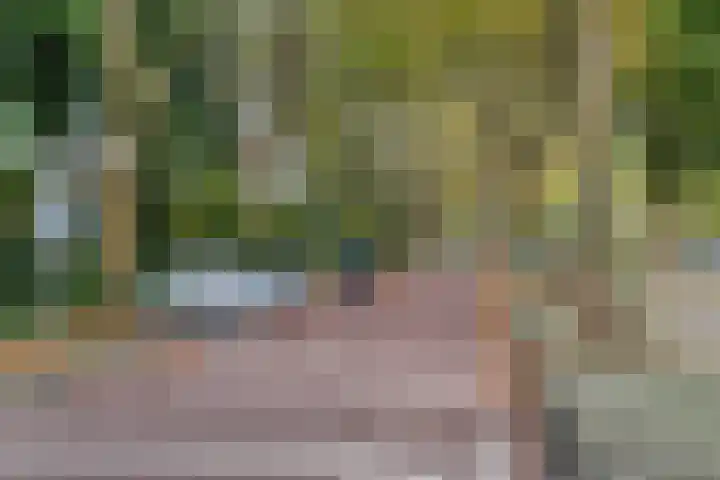 Nachtwachtlaan 41 Amsterdam thumbnail 26