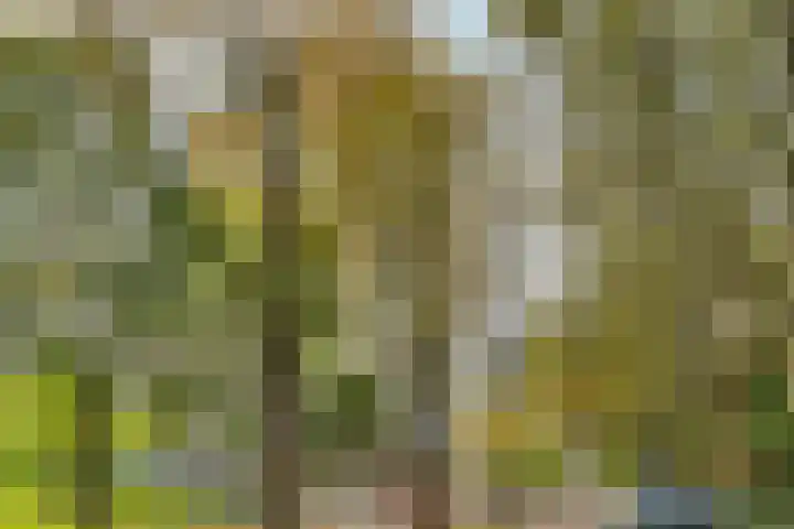 Nachtwachtlaan 41 Amsterdam thumbnail 27