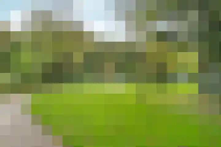 Nachtwachtlaan 41 Amsterdam thumbnail 28