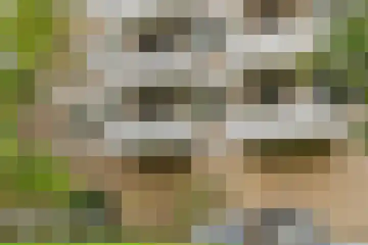 Nachtwachtlaan 41 Amsterdam thumbnail 30