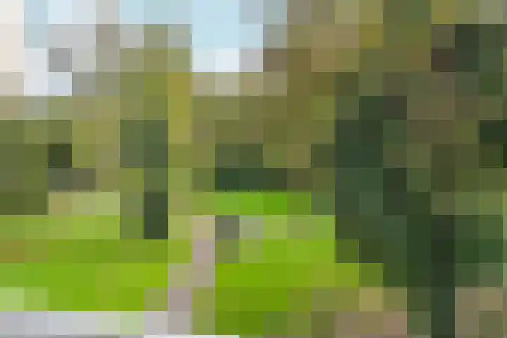 Nachtwachtlaan 41 Amsterdam thumbnail 31