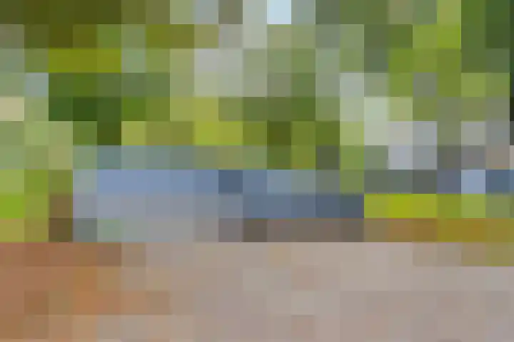 Nachtwachtlaan 41 Amsterdam thumbnail 32