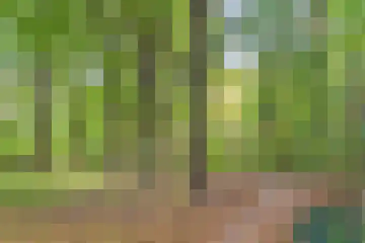 Nachtwachtlaan 41 Amsterdam thumbnail 34