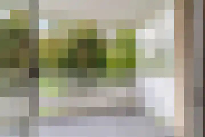 Nachtwachtlaan 41 Amsterdam thumbnail 5