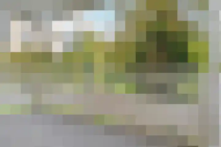 Nachtwachtlaan 41 Amsterdam thumbnail 7