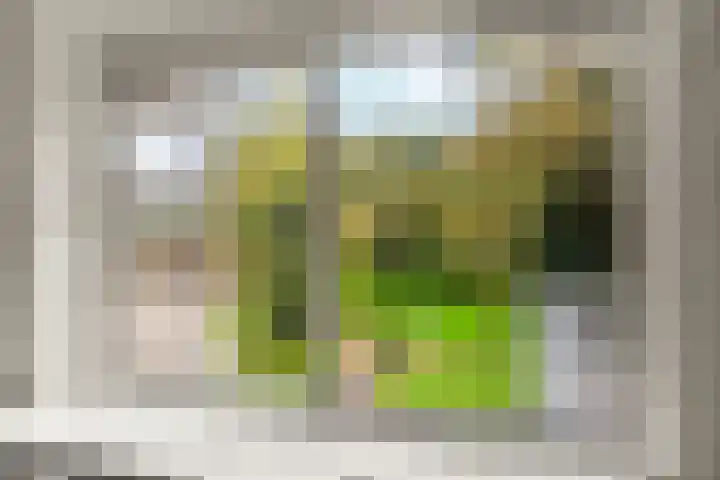 Nachtwachtlaan 41 Amsterdam thumbnail 9