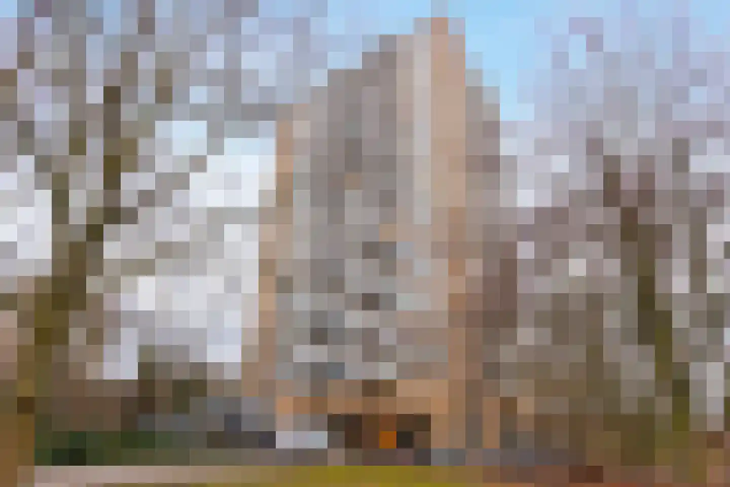 Nachtwachtlaan 443 Amsterdam thumbnail 24