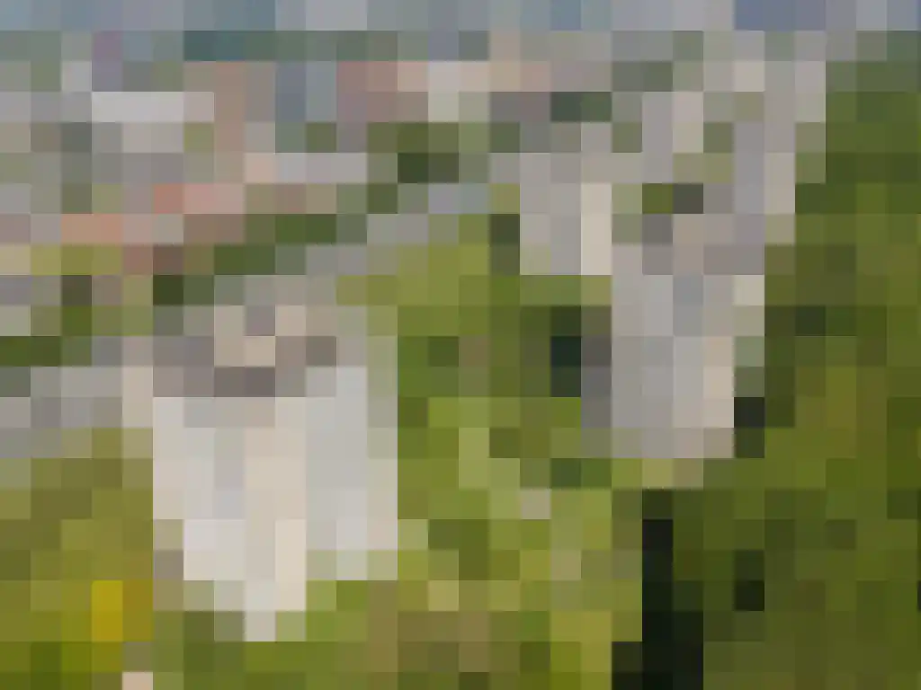 Nachtwachtlaan 443 Amsterdam thumbnail 25