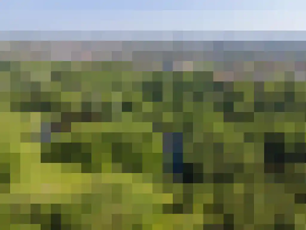 Nachtwachtlaan 443 Amsterdam thumbnail 26