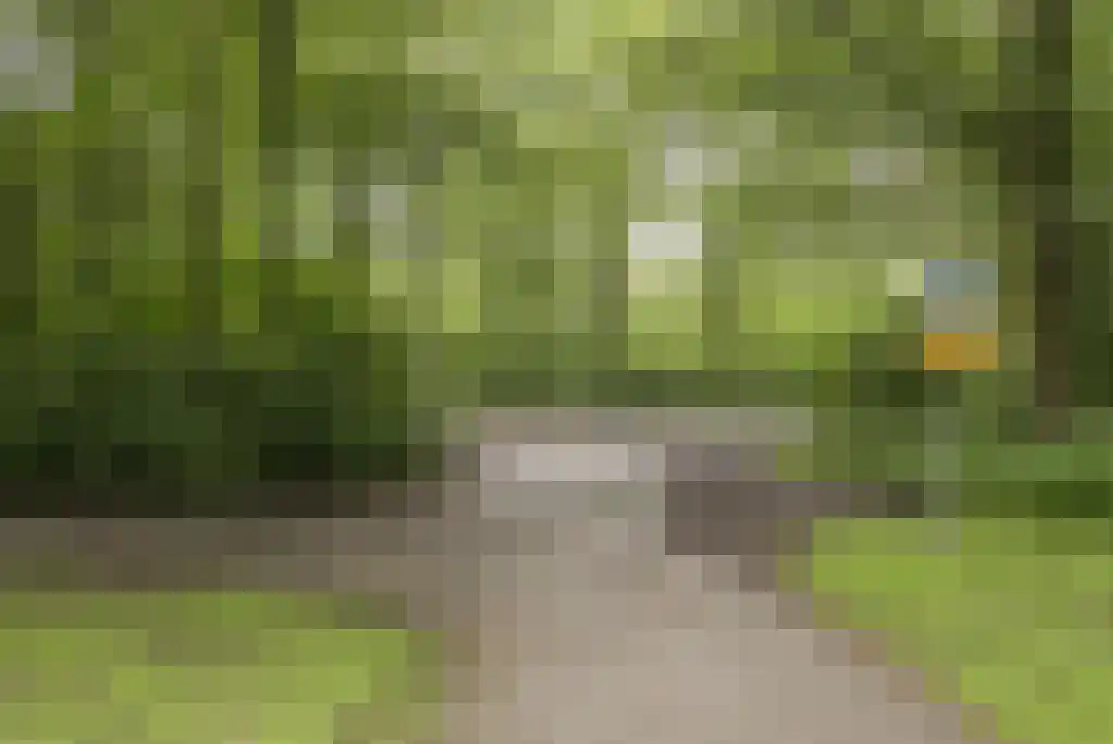 Nachtwachtlaan 443 Amsterdam thumbnail 27