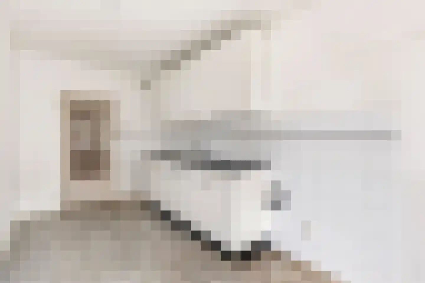 Nachtwachtlaan 443 Amsterdam thumbnail 5