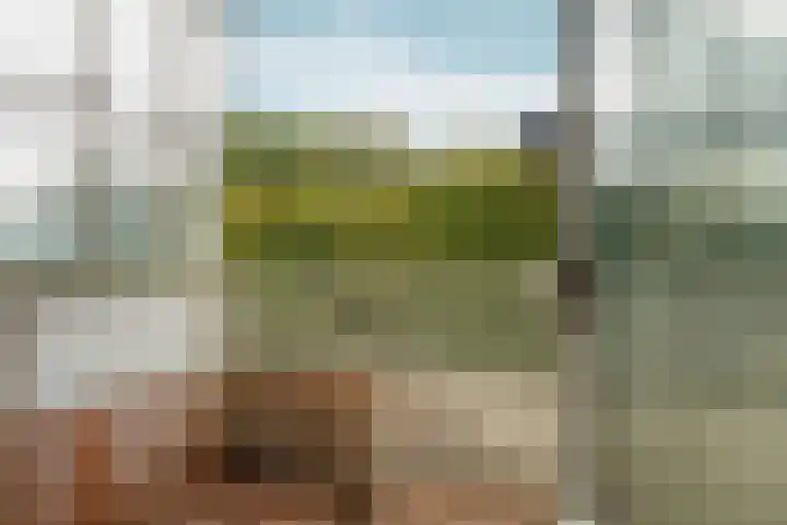 Nachtwachtlaan 454 Amsterdam thumbnail 12