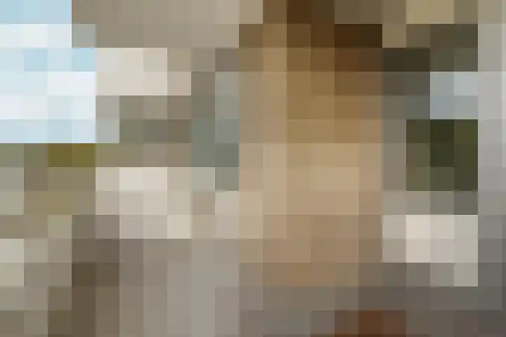 Nachtwachtlaan 454 Amsterdam thumbnail 13