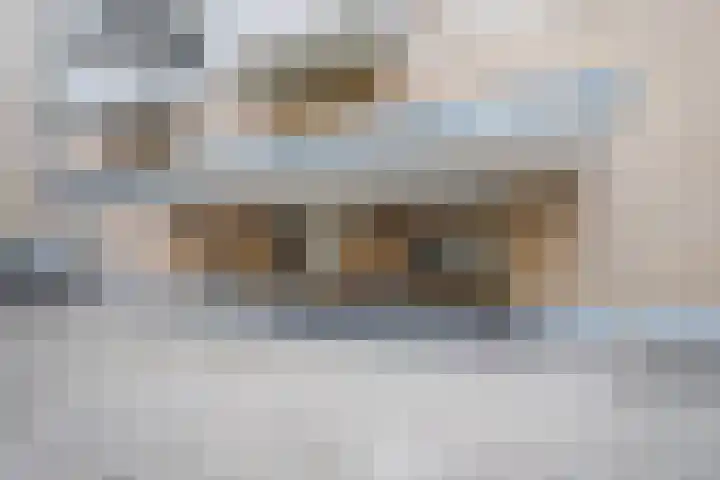 Nachtwachtlaan 454 Amsterdam thumbnail 22