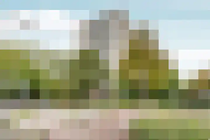 Nachtwachtlaan 454 Amsterdam thumbnail 23