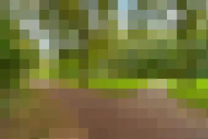 Nachtwachtlaan 454 Amsterdam thumbnail 24