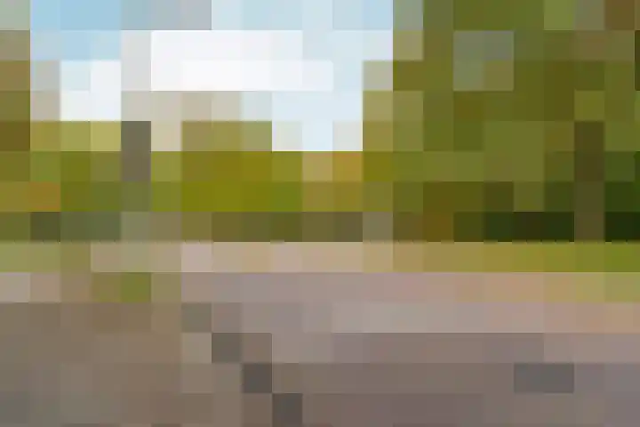 Nachtwachtlaan 454 Amsterdam thumbnail 25