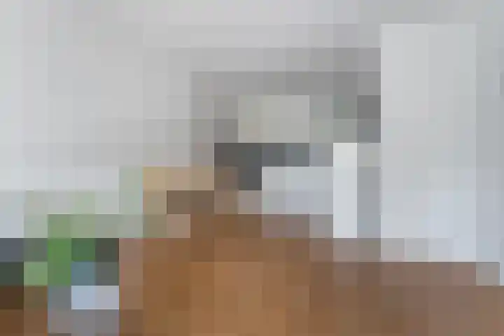 Nachtwachtlaan 454 Amsterdam thumbnail 7