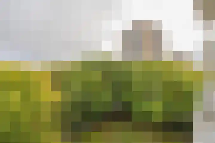 Nachtwachtlaan 457 Amsterdam thumbnail 10