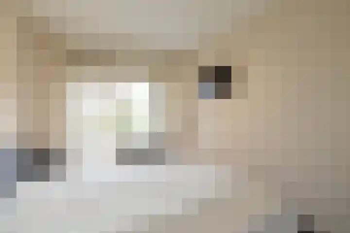Nachtwachtlaan 457 Amsterdam thumbnail 15