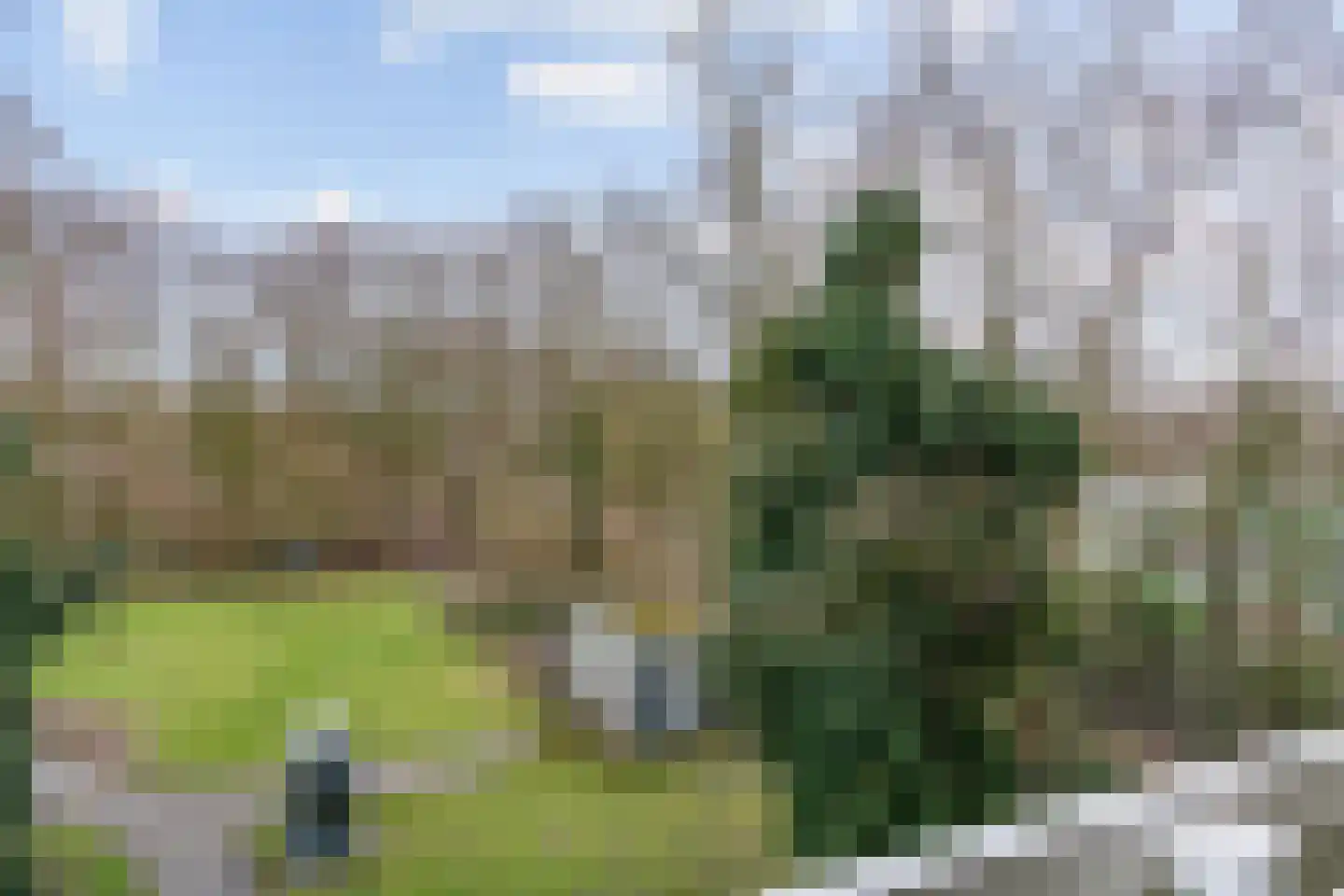 Nachtwachtlaan 46 Amsterdam thumbnail 16