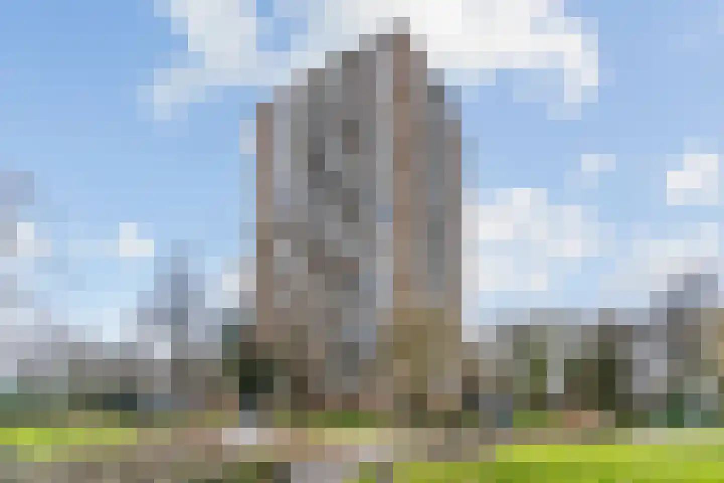 Nachtwachtlaan 46 Amsterdam thumbnail 4