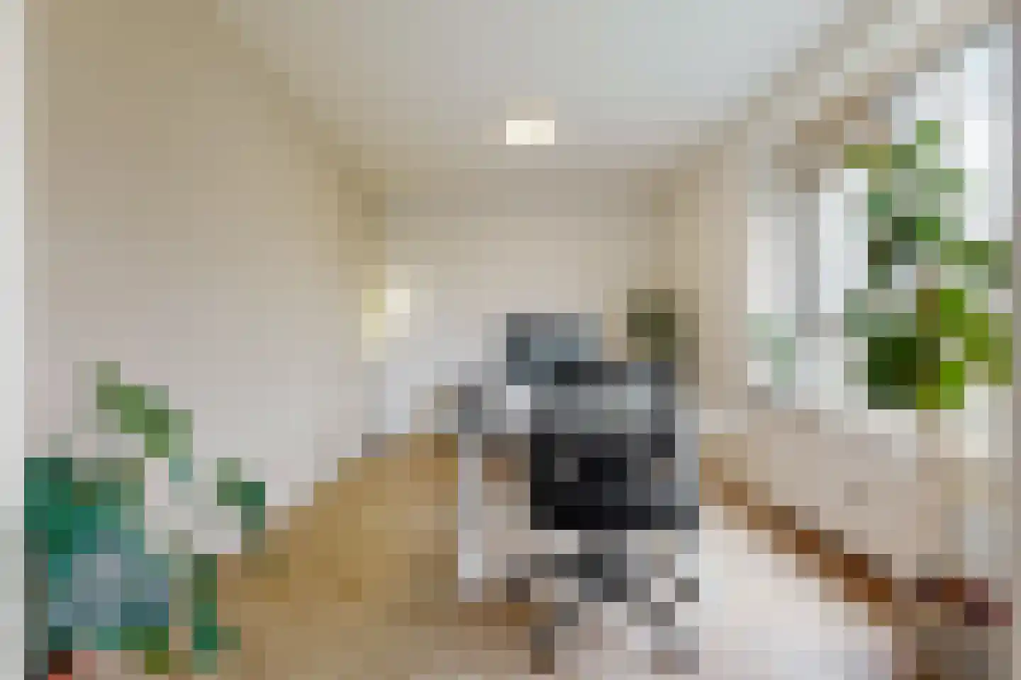 Nachtwachtlaan 46 Amsterdam thumbnail 9