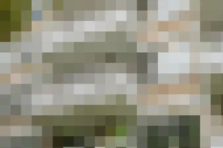 Nachtwachtlaan 47 Amsterdam thumbnail 25