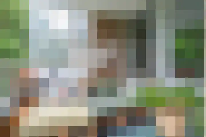 Nachtwachtlaan 47 Amsterdam thumbnail 26