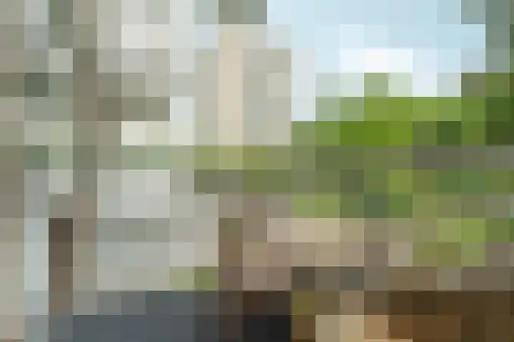 Nachtwachtlaan 47 Amsterdam thumbnail 27