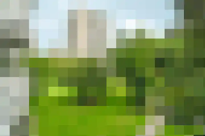 Nachtwachtlaan 47 Amsterdam thumbnail 28