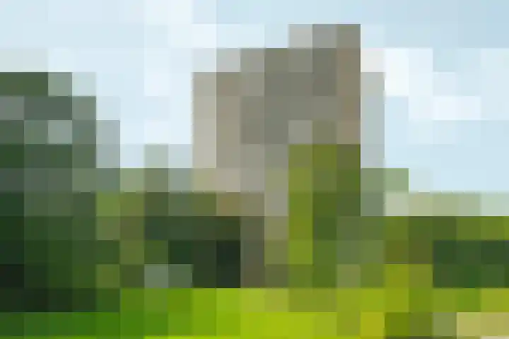 Nachtwachtlaan 47 Amsterdam thumbnail 35