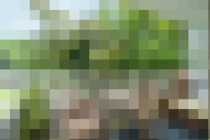 Nachtwachtlaan 47 Amsterdam thumbnail 4