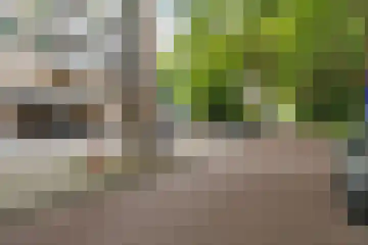 Nachtwachtlaan 47 Amsterdam thumbnail 6