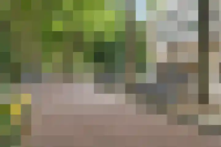 Nachtwachtlaan 47 Amsterdam thumbnail 7